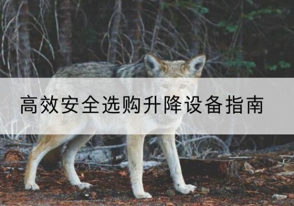 康县升降货梯厂家推荐-*安全选购升降设备指南