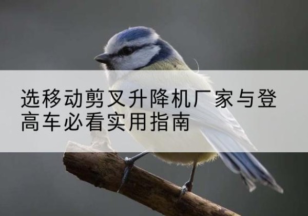 康县电动升降机厂家-选移动剪叉升降机厂家与登高车必看实用指南
