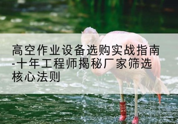 康县剪叉式升降机厂家-高空作业设备选购实战指南-十年工程师揭秘厂家筛选核心法则